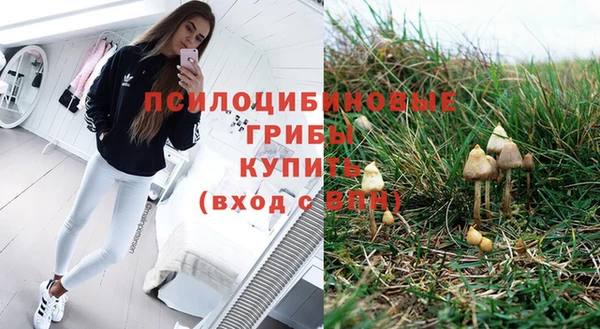 мяу мяу мука Заводоуковск