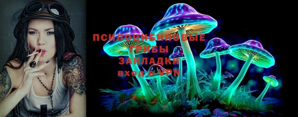 МДМА Ельня